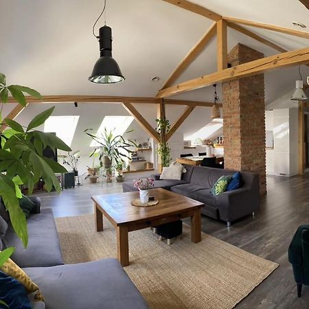 Zeromskiego Apartament 프르제미슬 외부 사진