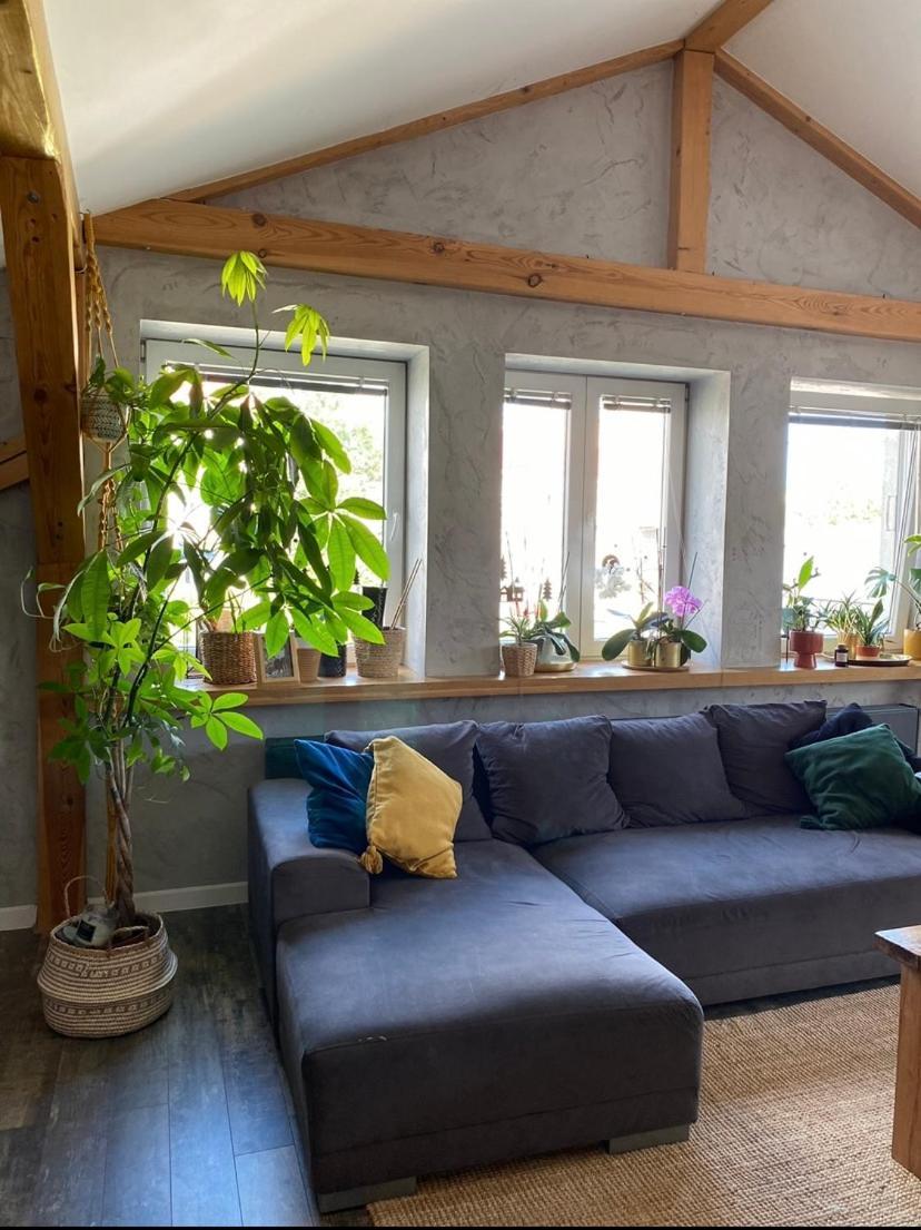 Zeromskiego Apartament 프르제미슬 외부 사진